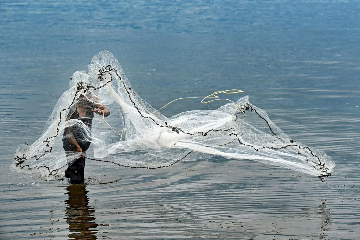 Un pescador en las aguas someras lanzando una red de mano, que se abre en un amplio círculo blanco sobre el agua en el Cairns Esplanade.